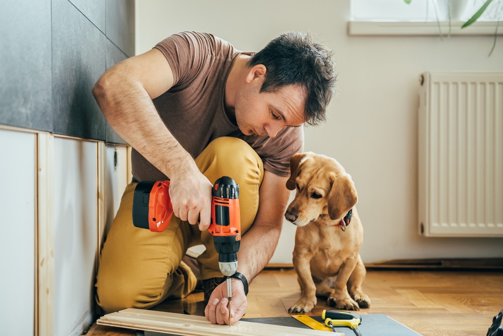 a man drilling in a house with a dog