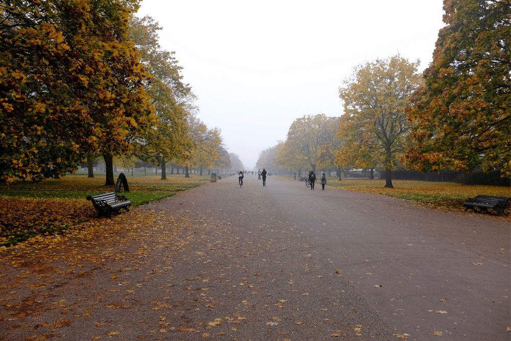 a park in kensington on an autumn day
