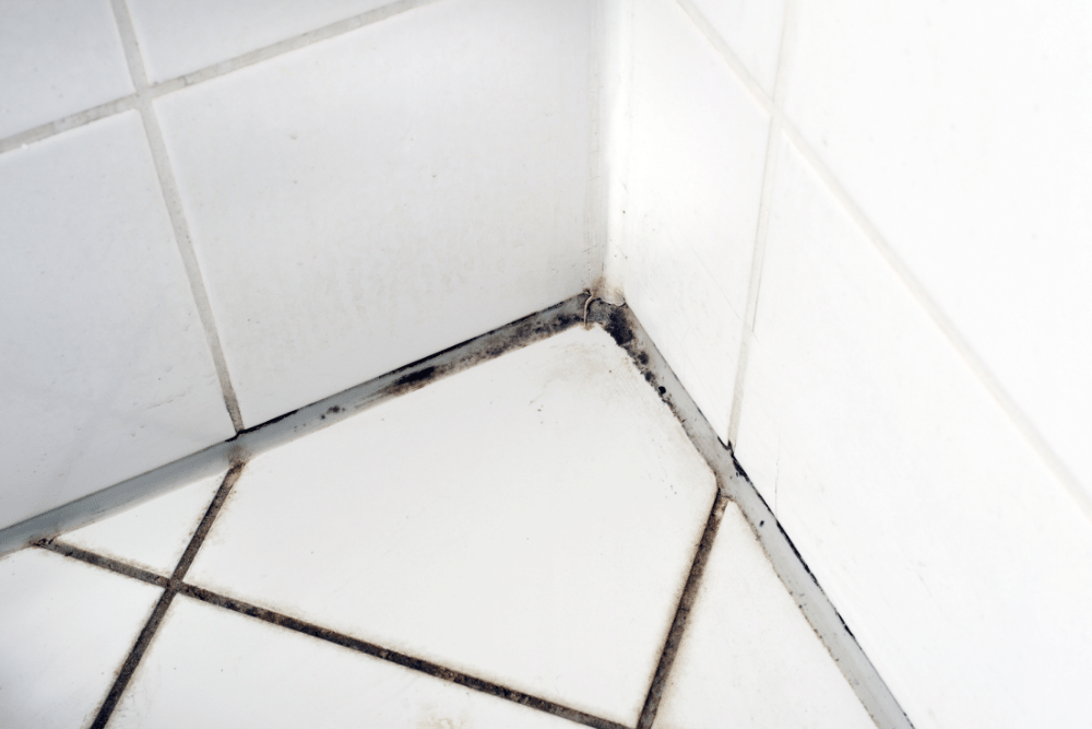 mould on white bathroom tiles