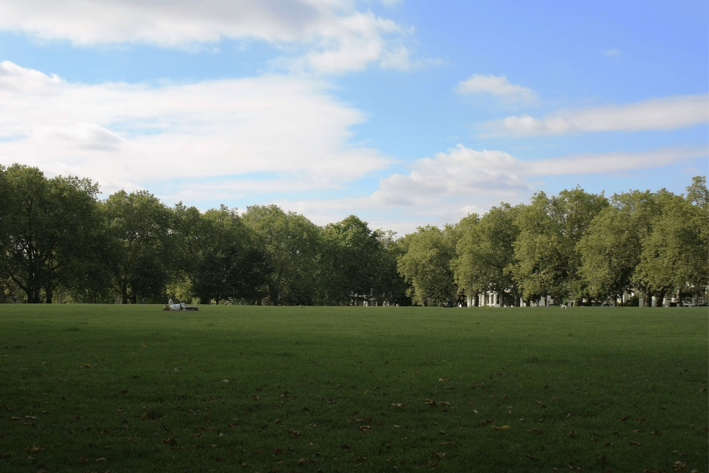 an open park space lined with trees in highbury
