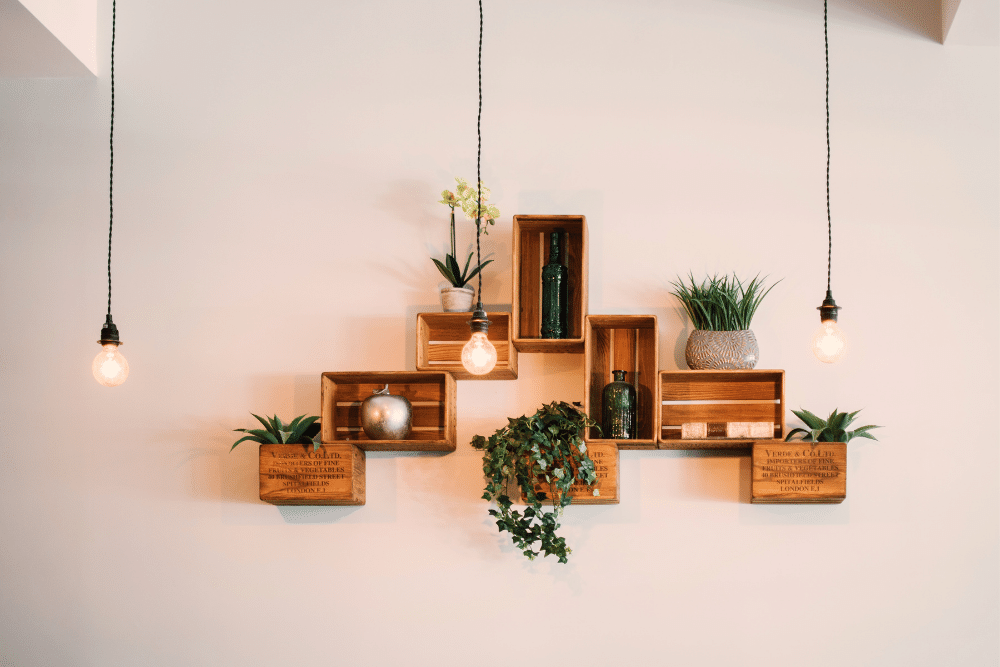 wooden shelving on a white wall with plants and warm lighting