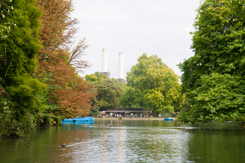 a pond and trees in battersea park