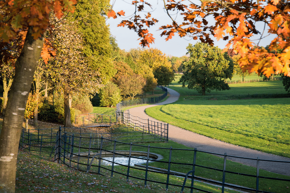 a park in milton keynes in autumn