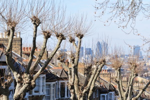 a winter view of central london from south london