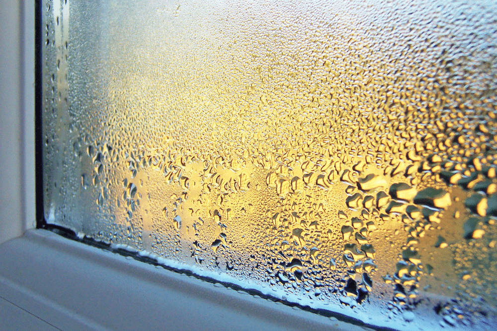 sun shining through window with condensation on