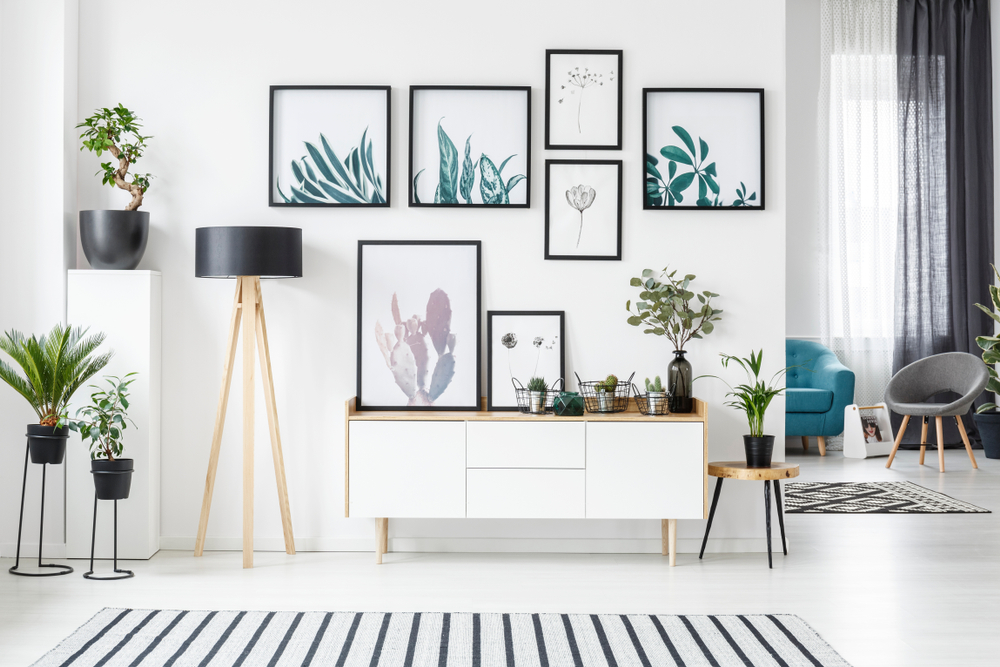 Botanical posters on the wall in a living room