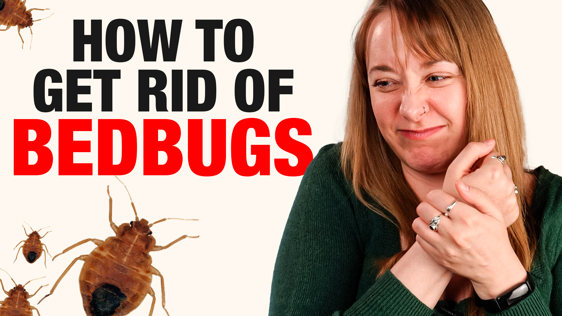 What you need to know about Europe's bedbug panic